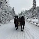 Bacowka Polanki * Obidowa