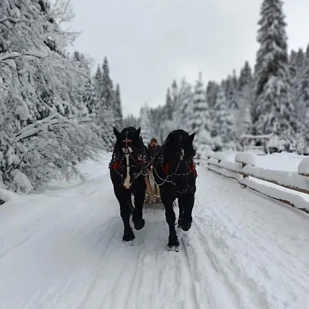 Bacowka Polanki * Obidowa