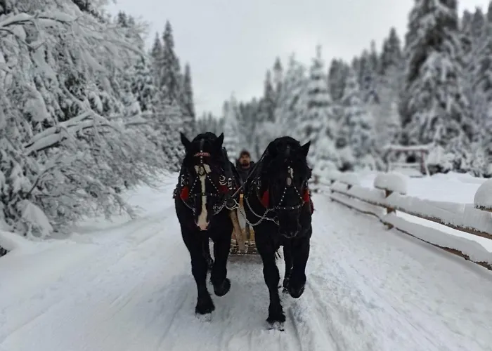Bacówka Polanki * Obidowa