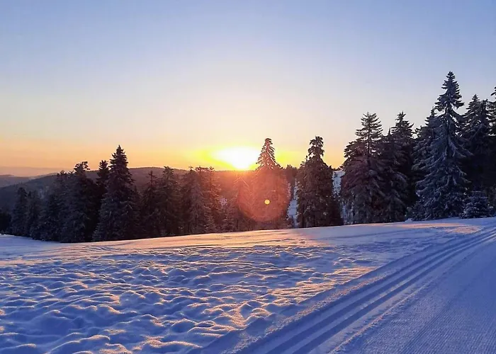 Bacówka Polanki Dom wakacyjny *